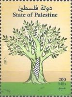 Olive Trees
