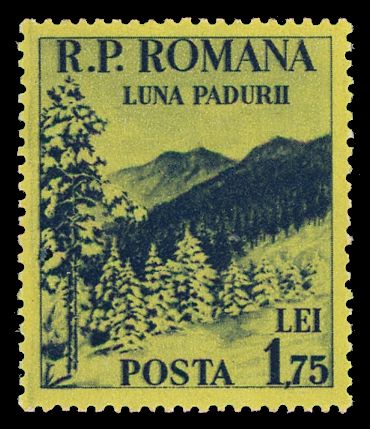 Mountain landscape