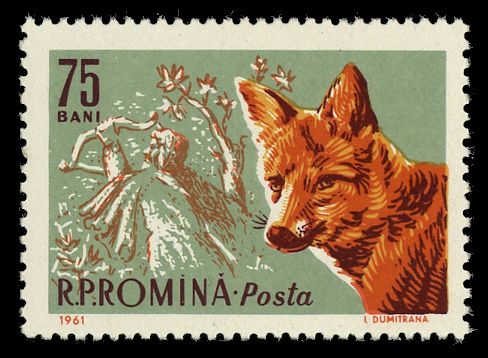 Red Fox (Vulpes vulpes)