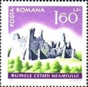Neamț Citadel Ruins