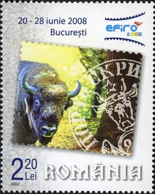 European Bison (Bison bonasus)