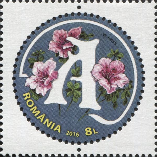 Letter A and Japanese Azalea (Rhododendron japonicum)