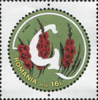 Letter G and Garden Gladiola (Gladiolus hybridus)