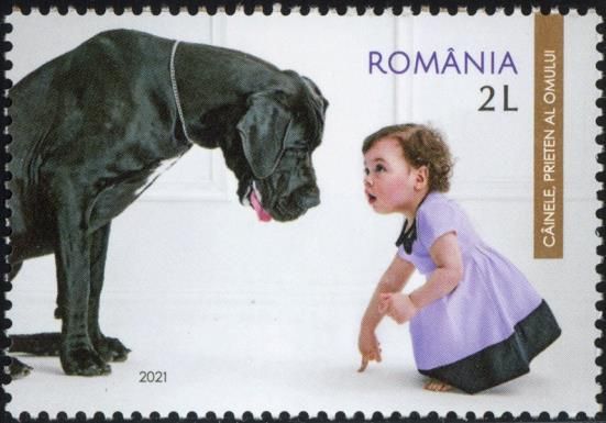 Dogs - Friends of Man