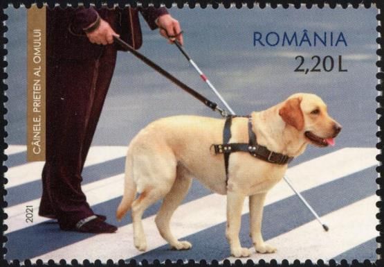 Dogs - Friends of Man