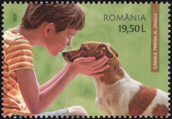 Dogs - Friends of Man