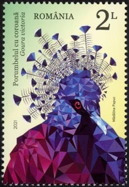Victoria Crowned Pigeon (Goura victoria)