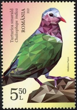Common Emerald Dove (Chalcophaps indica)