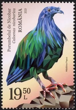 Nicobar Pigeon (Caloenas nicobarica)