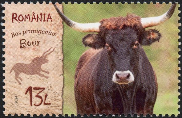 Aurochs (Bos primigenius)
