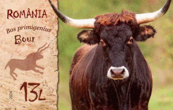 Aurochs (Bos primigenius)
