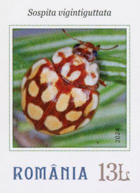 Sospita vigintiguttata