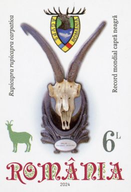 The Chamois