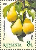 Pears (Pyrus communis)