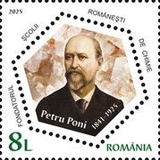 Petru Poni, Chemist