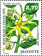 Ylang-ylang