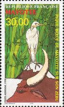 Cattle Egret (Bubulcus ibis)