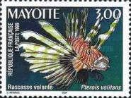 Red Lionfish (Pterois volitans)