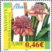 Flora