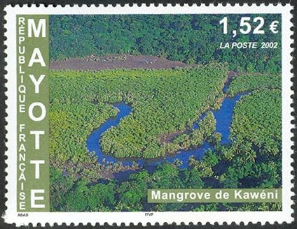 Mangrove Kawéni