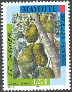 Jackfruit