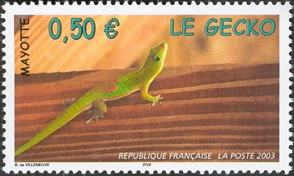 Broad-tailed Day Gecko (Phelsuma laticauda)