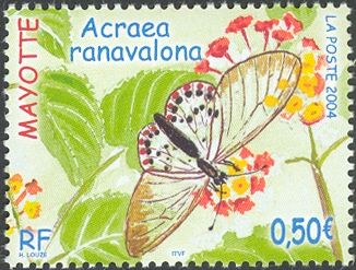 Butterfly (Acraea Rranavalona)