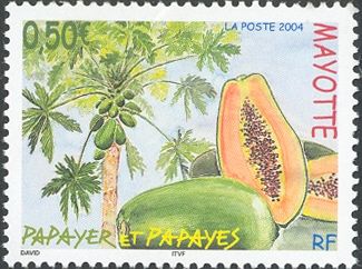 Papaya Tree