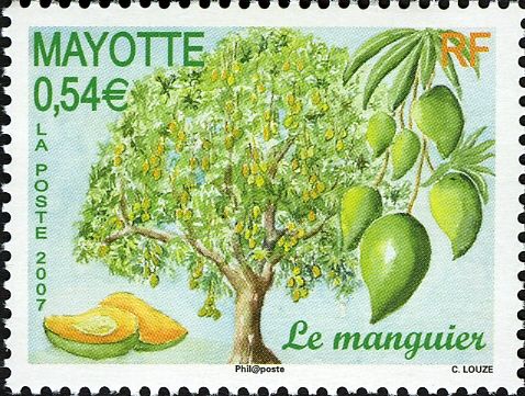 Mango