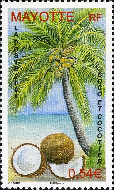 Coconut and Coconut Tree