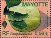 Grapefruit