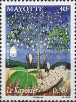 Ceiba pentandra