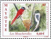 Malagasy Paradise-Flycatcher (Terpsiphone mutata)