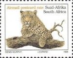 Leopard (Panthera pardus)