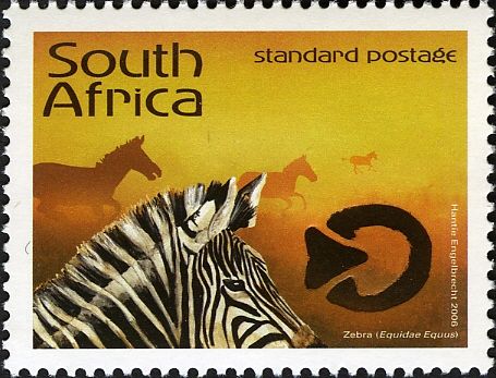 Burchell's Zebra (Equus burchelli)
