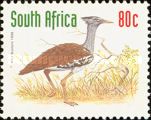 Kori Bustard (Ardeotis kori)