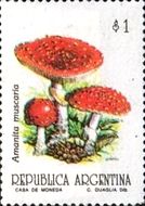 Amanita muscaria