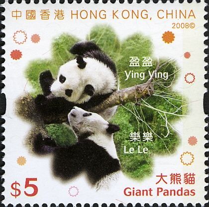 Giant Panda (Ailuropoda melanoleuca)