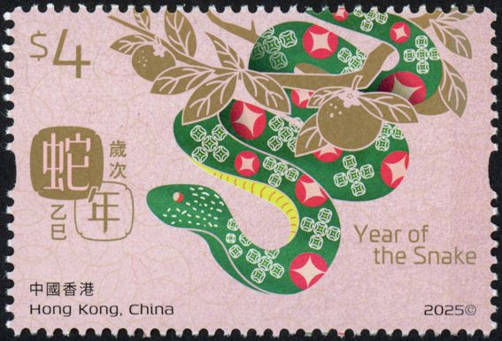 Year of the Snake