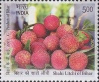 Shahi Litchi (Lychee)