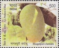 Bhagalpuri Zardalu Mangoes