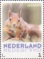 Eurasian Red Squirrel (Sciurus vulgaris)