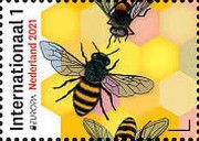 Endangered Bees