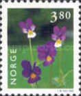 Heartsease (Viola tricolor)
