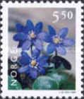 Hepatica (Hepatica nobilis)