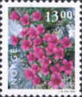 Saxifraga diversifolia