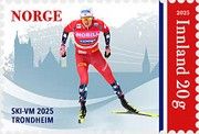 Cross-Country Skiing