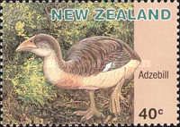 Adzebill (Aptornis otidiformis)