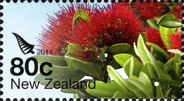 Pohutukawa Flower