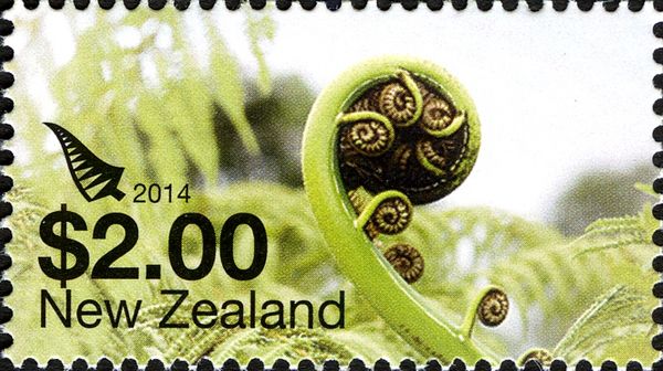 Silver Fern